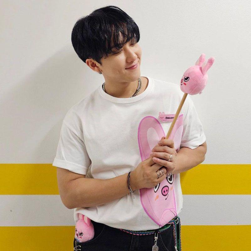 T-SHIRTS STRAY KIDS SKZOO 100 % COTON