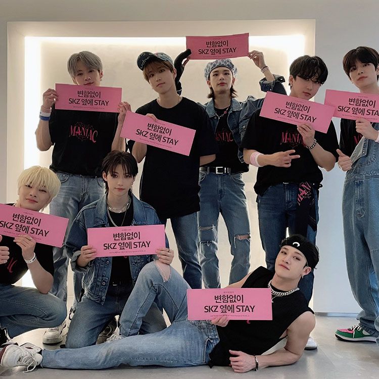 T-SHIRT STRAY KIDS MANIAC 100% COTON