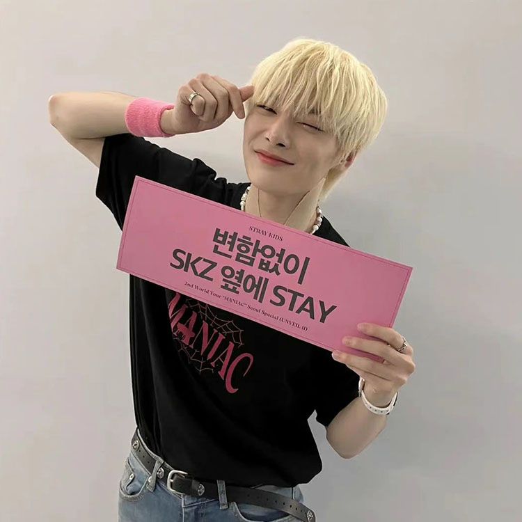 T-SHIRT STRAY KIDS MANIAC 100% COTON