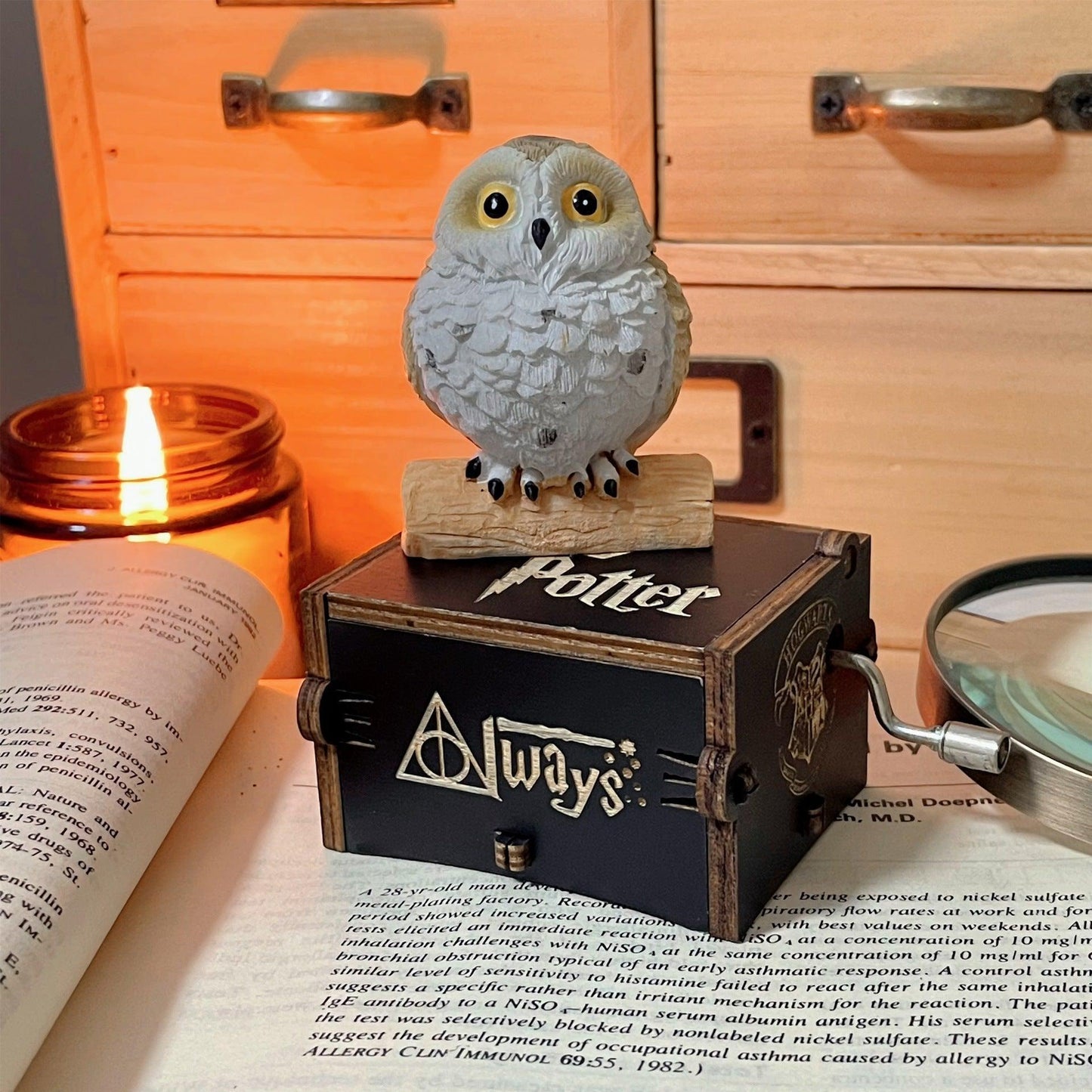 BOÎTE À MUSIQUE HARRY POTTER (CORDE) + HIBOU