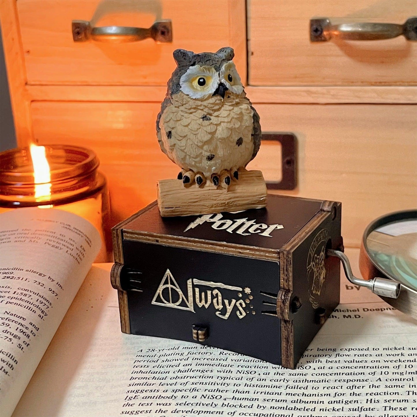 BOÎTE À MUSIQUE HARRY POTTER (CORDE) + HIBOU