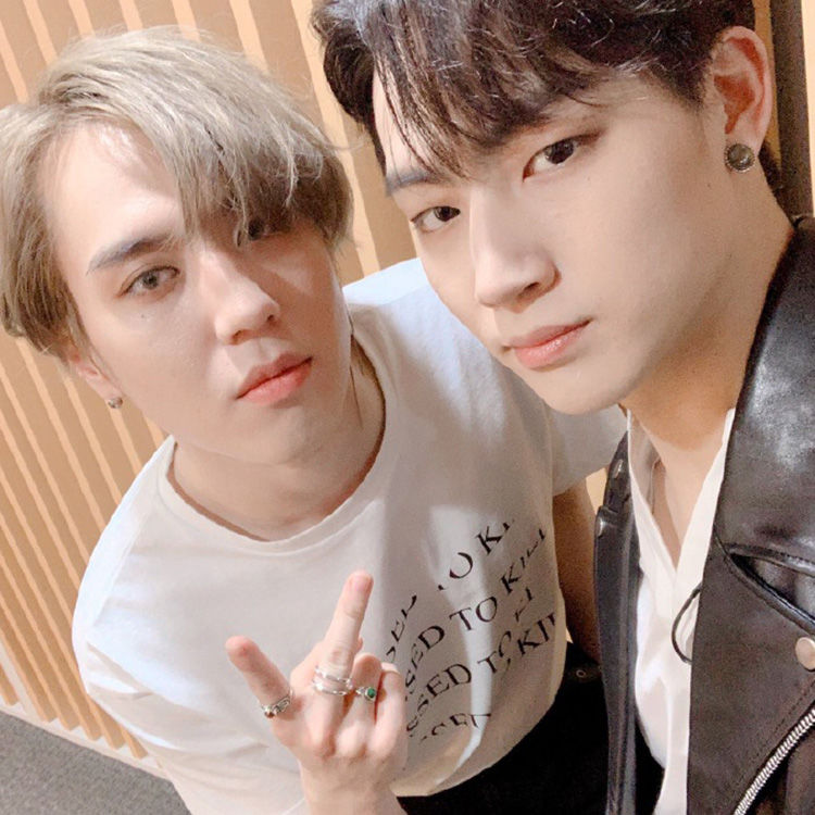 T-SHIRT SHINEE « DRESSED TO KILL » 100 % COTON