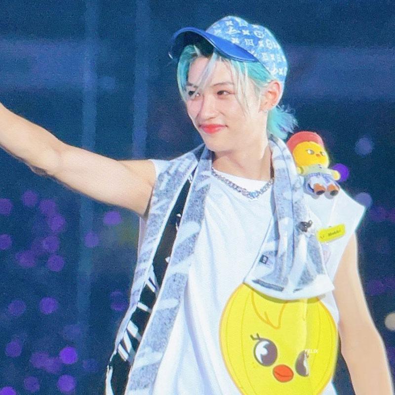 T-SHIRTS STRAY KIDS SKZOO 100 % COTON