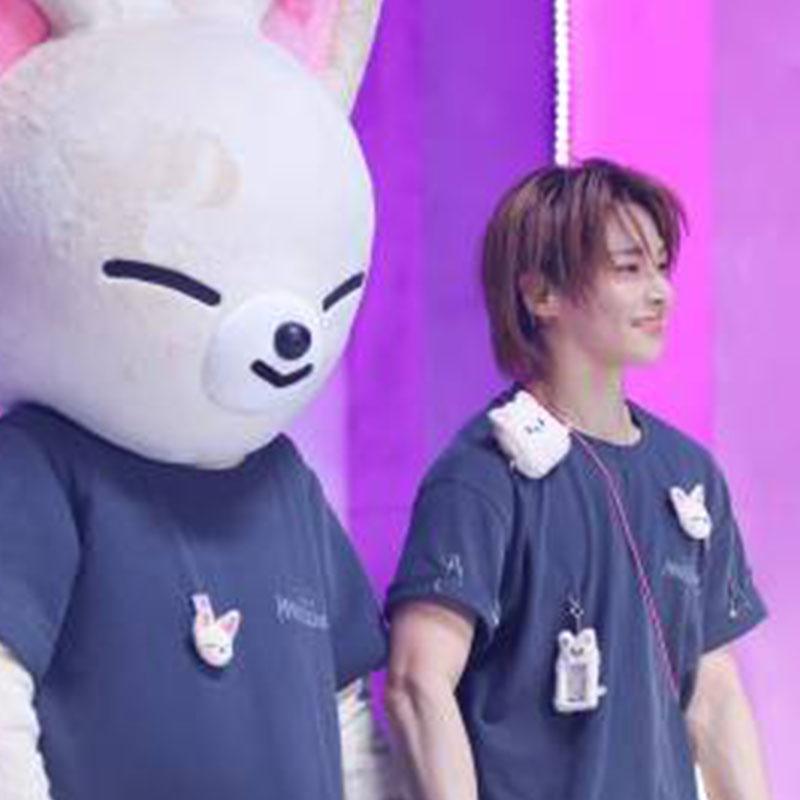 T-SHIRT ÉCOLE MAGIQUE STRAY KIDS 100% COTON