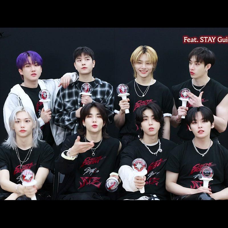 T-SHIRT STRAY KIDS ATE 100% COTON
