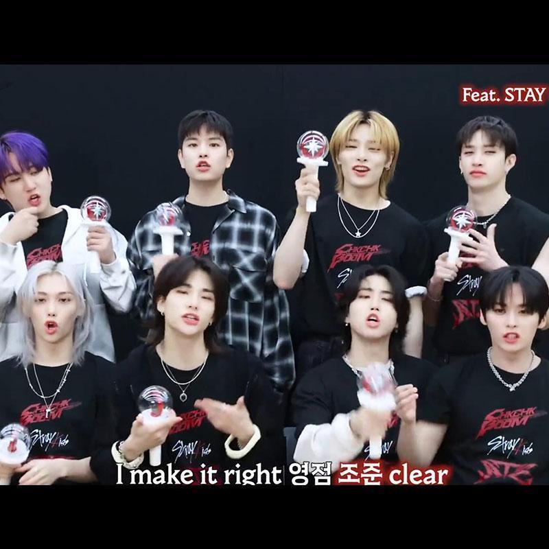 T-SHIRT STRAY KIDS ATE 100% COTON