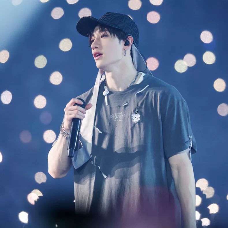 T-SHIRT STRAY KIDS DOMINATE TOUR 100 % COTON