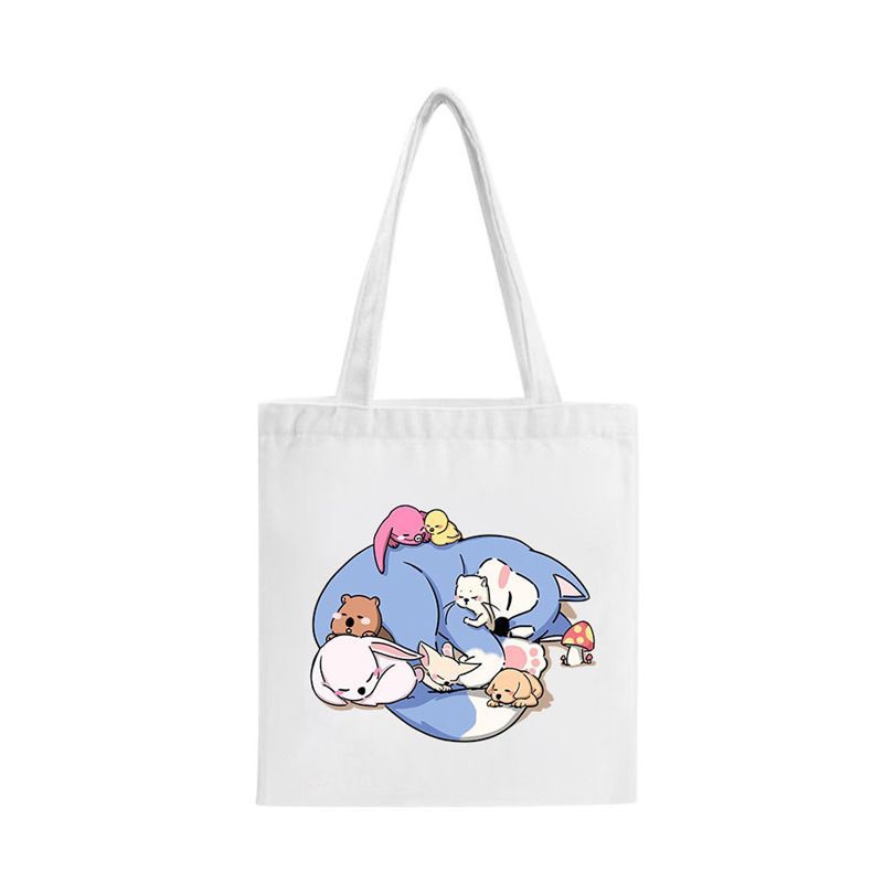 SACS ÉCOLOGIQUES STRAY KIDS SKZOO