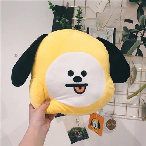 Coussins BT21 BTS TOUS LES PERSONNAGES 35 CM