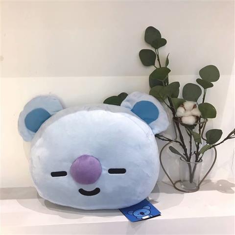 Coussins BT21 BTS TOUS LES PERSONNAGES 35 CM