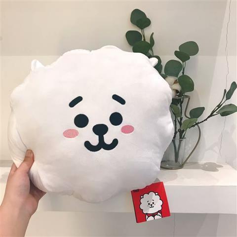 Coussins BT21 BTS TOUS LES PERSONNAGES 35 CM