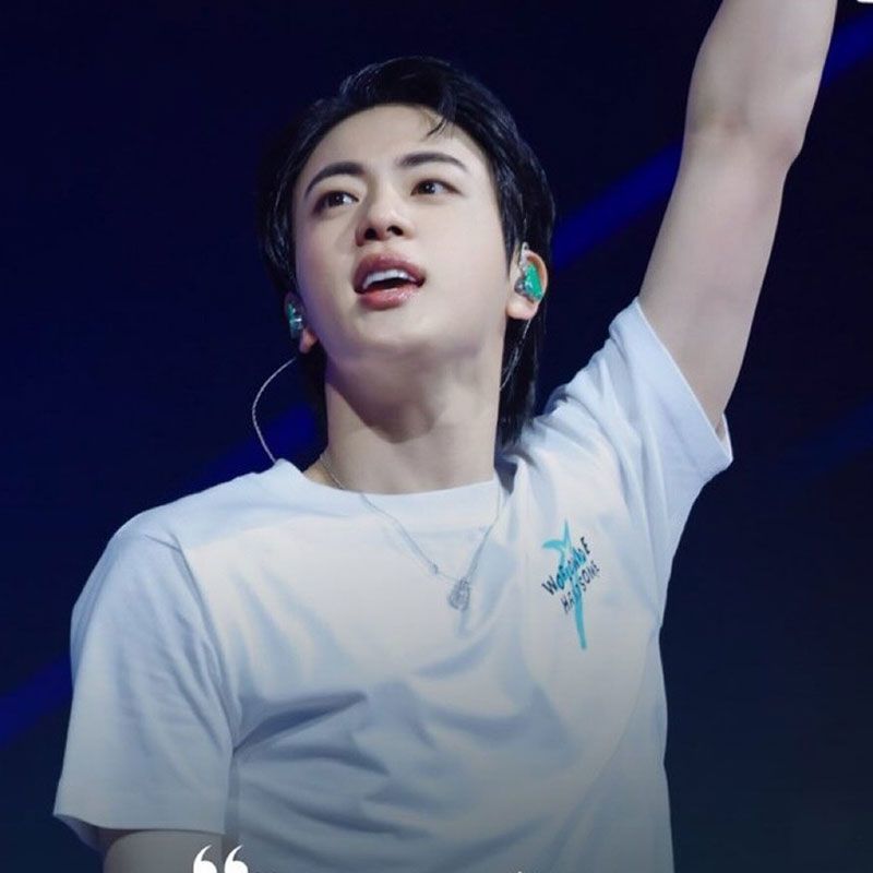 T-SHIRTS DE LA TOURNÉE JIN RUNSEOKJIN 100 % COTON