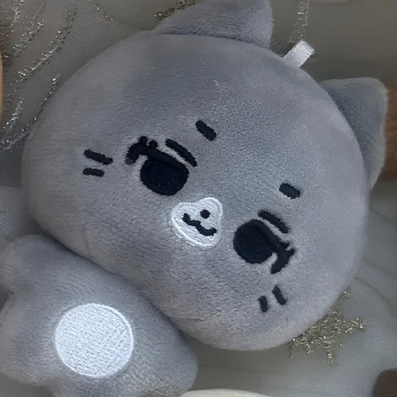 PORTE-CLÉS EN PELUCHE CORTIS