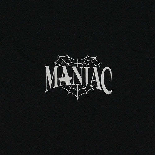 T-shirt à manches longues Stray Kids Maniac