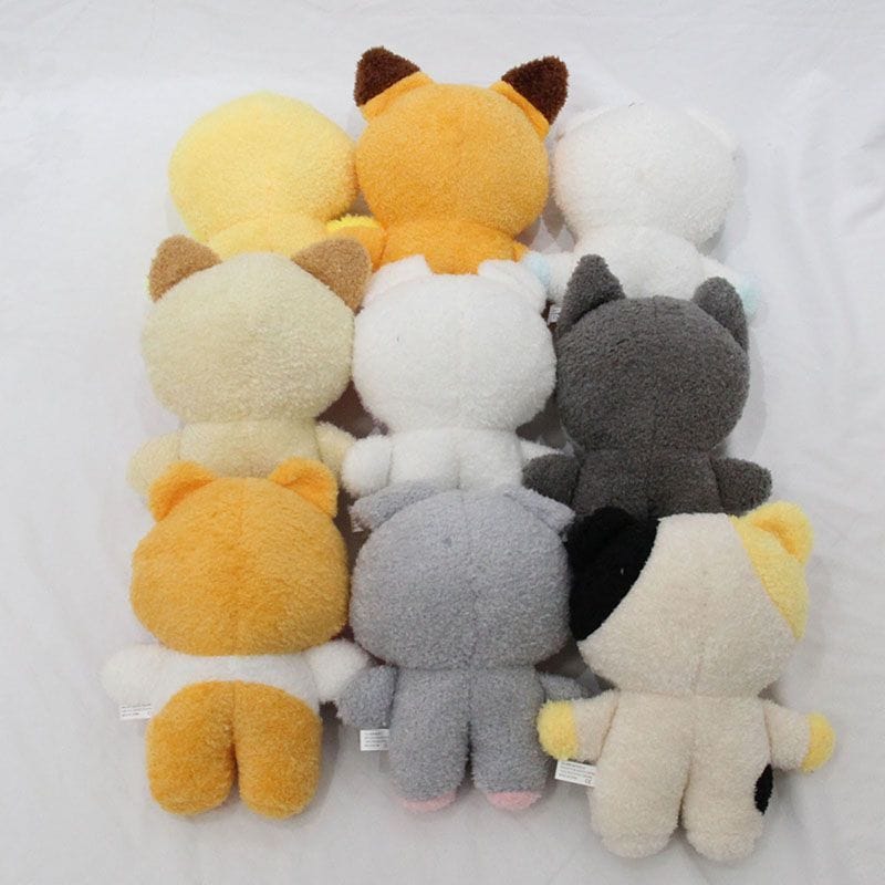 ZB1 ZERO BASE ONE (ZB1) PELUCHE 23 CM