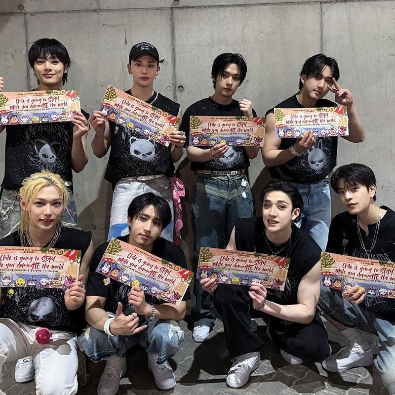 T-SHIRTS STRAY KIDS EVIL SKZOO 100 % COTON